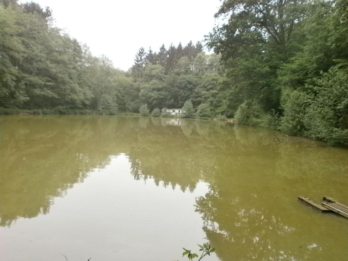 Gite Le Sous-Bois Cerfontaine Zewnętrze zdjęcie