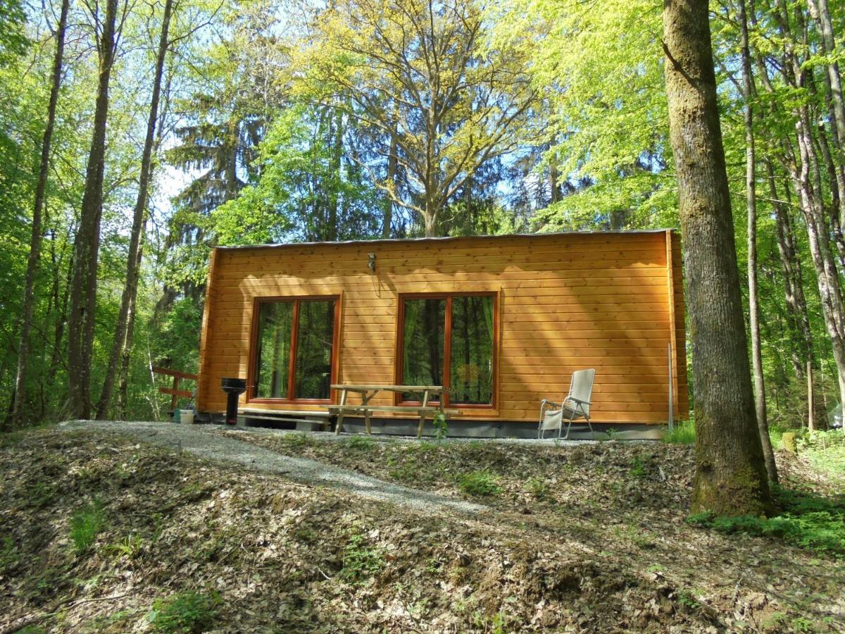 Gite Le Sous-Bois Cerfontaine Zewnętrze zdjęcie